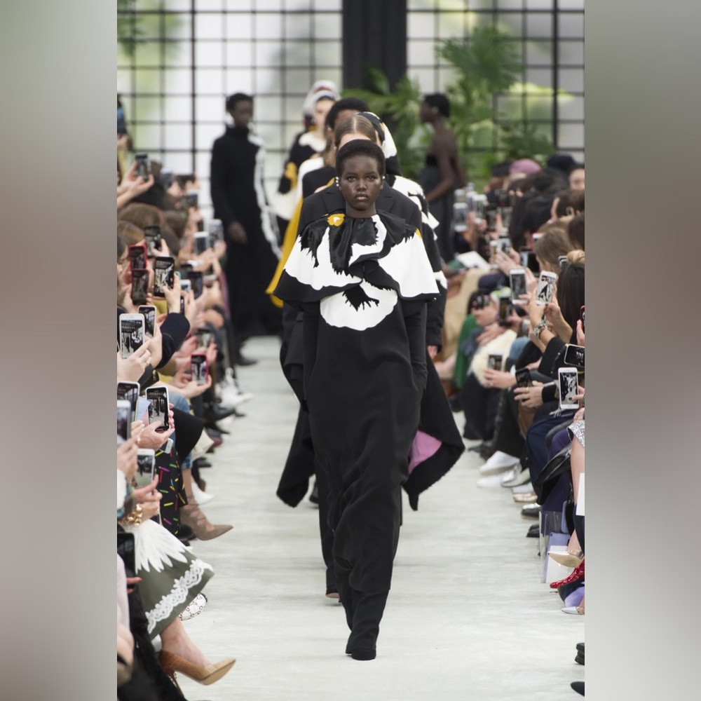 NWOT Valentino Fall 2018 Runway Pansy Dress Size 40